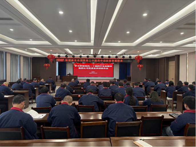 威廉希尔召开学习贯彻党的二十届四中全会精神宣讲会